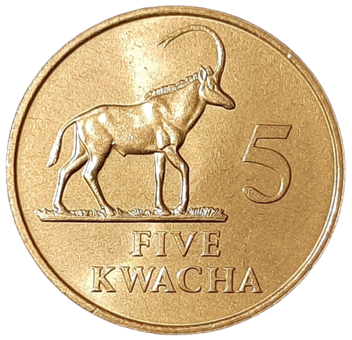 Zambia KM 31 1992 A.png