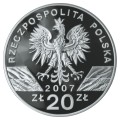 129.jpg