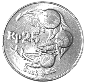 Indonezja 25 Rupii KM 55 1996 UNC