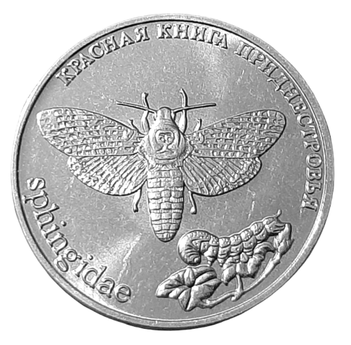 Republika Naddniestrzańska 1 1 Rubel 2018 A.png