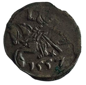 Polska Zygmunt II August. Denar 1557, Wilno